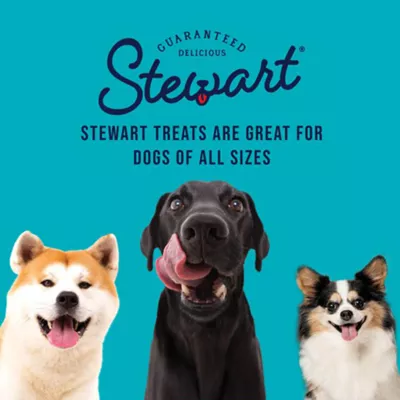 Product Stewart Healthy Hips Freeze Dried All Life Stage Dog Treats - Beef & Sweet Potato