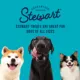 Product Stewart Shine Freeze Dried All Life Stage Dog Treats -  Grain-Free, Salmon & Sweet Potato