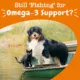 Product Zesty Paws All Life Stages Dog & Cat Alaskan Salmon Oil - Omega-3 Fatty Acids, Grain-Free