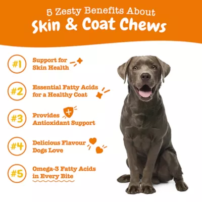 Product Zesty Paws Omega Chews Dog All Life Stages - Chicken, Soft Chews