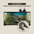 Thrive Stone Basking Platform Terrarium Ornament image thumbnail 4