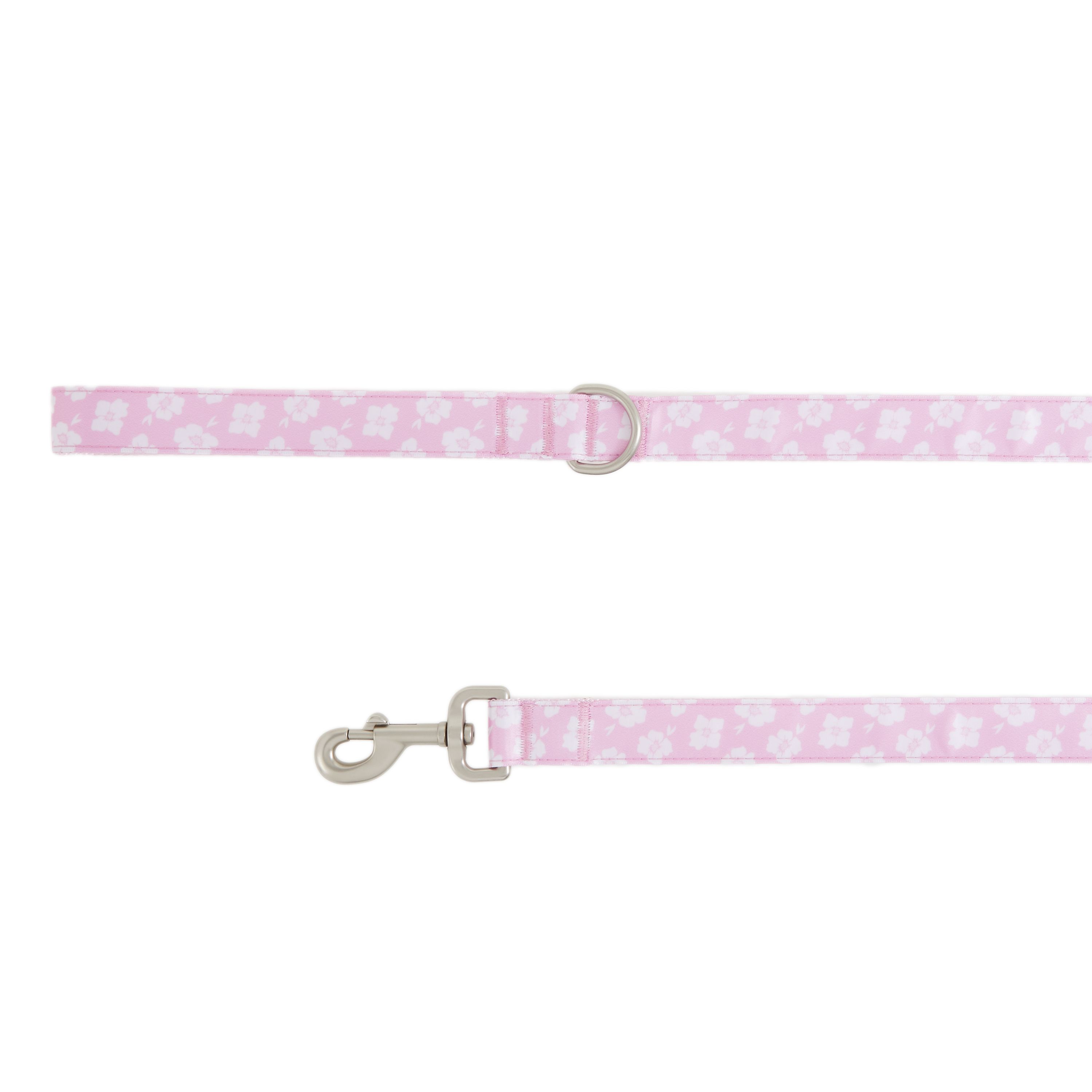 Extension Leashes for Dogs
