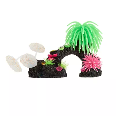 Product Top Fin® Coral Silicone Swim-Thru