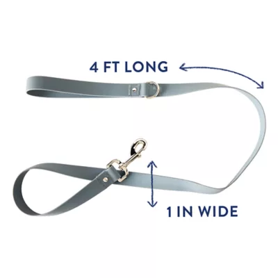 Product Top Paw® Core Fashion Dog Leash: 4-ft long