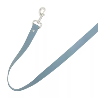 Product Top Paw® Core Fashion Dog Leash: 4-ft long