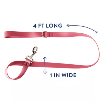Product Top Paw® Core Fashion Dog Leash: 4-ft long