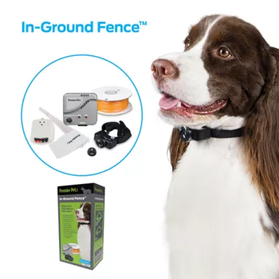 Invisible fences for dogs best sale