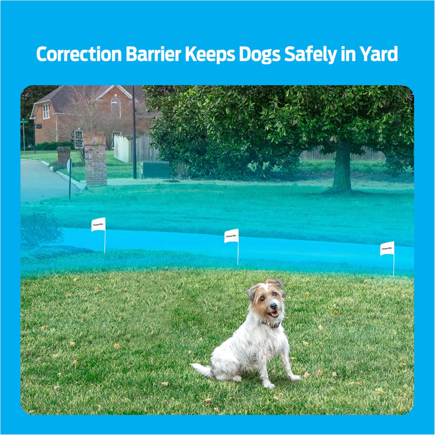 Dog barrier for yard best sale