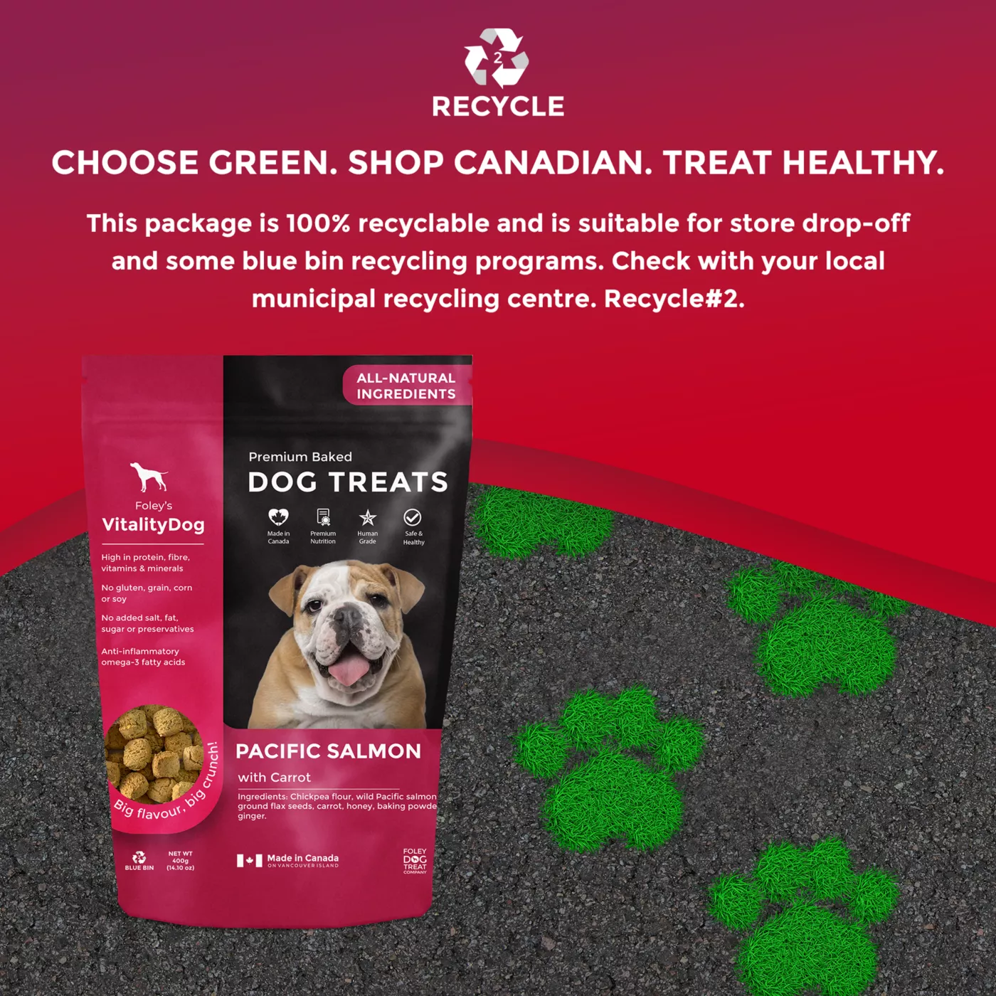 Foley s VitalityDog Crunchy Baked Dog Treats Pacific Salmon with Honey Carrots
