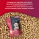 Product Foley's VitalityDog Crunchy Baked Dog Treats - Bison with Saskatoon Berries