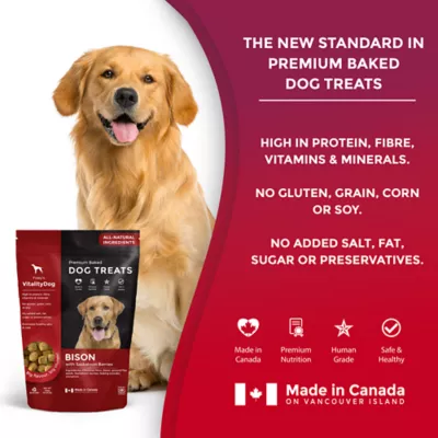 Product Foley's VitalityDog Crunchy Baked Dog Treats - Bison with Saskatoon Berries