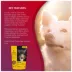 Foley's VitalityDog Crunchy Baked Dog Treat - Duck with Honey and Banana image thumbnail 4