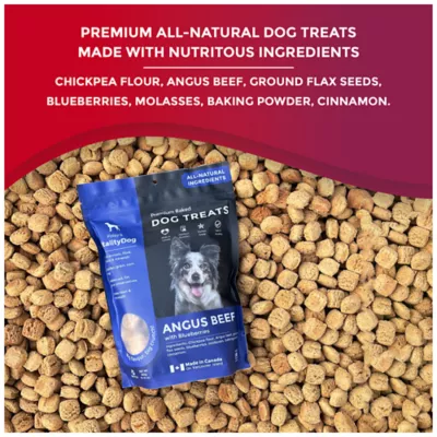 Product Foley's VitalityDog Crunchy Baked Dog Treat - Angus Beef with Blueberries