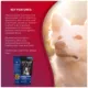 Product Foley's VitalityDog Crunchy Baked Dog Treat - Angus Beef with Blueberries