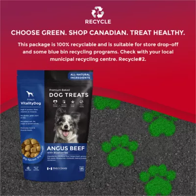 Product Foley's VitalityDog Crunchy Baked Dog Treat - Angus Beef with Blueberries