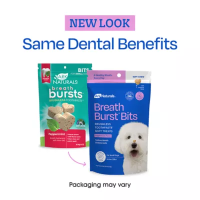Ark Naturals Breath Bursts Brushless Toothpaste Bites All Life Stage Dog Dental Treats - Peppermint - Image 3
