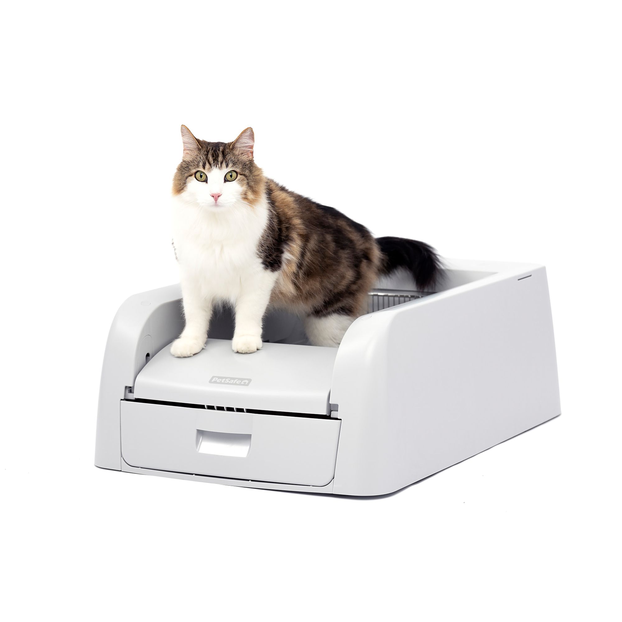 Automatic cat litter box petsmart hotsell