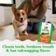 Product Greenies Petite Natural Adult Dog Dental Treats - Sweet Potato