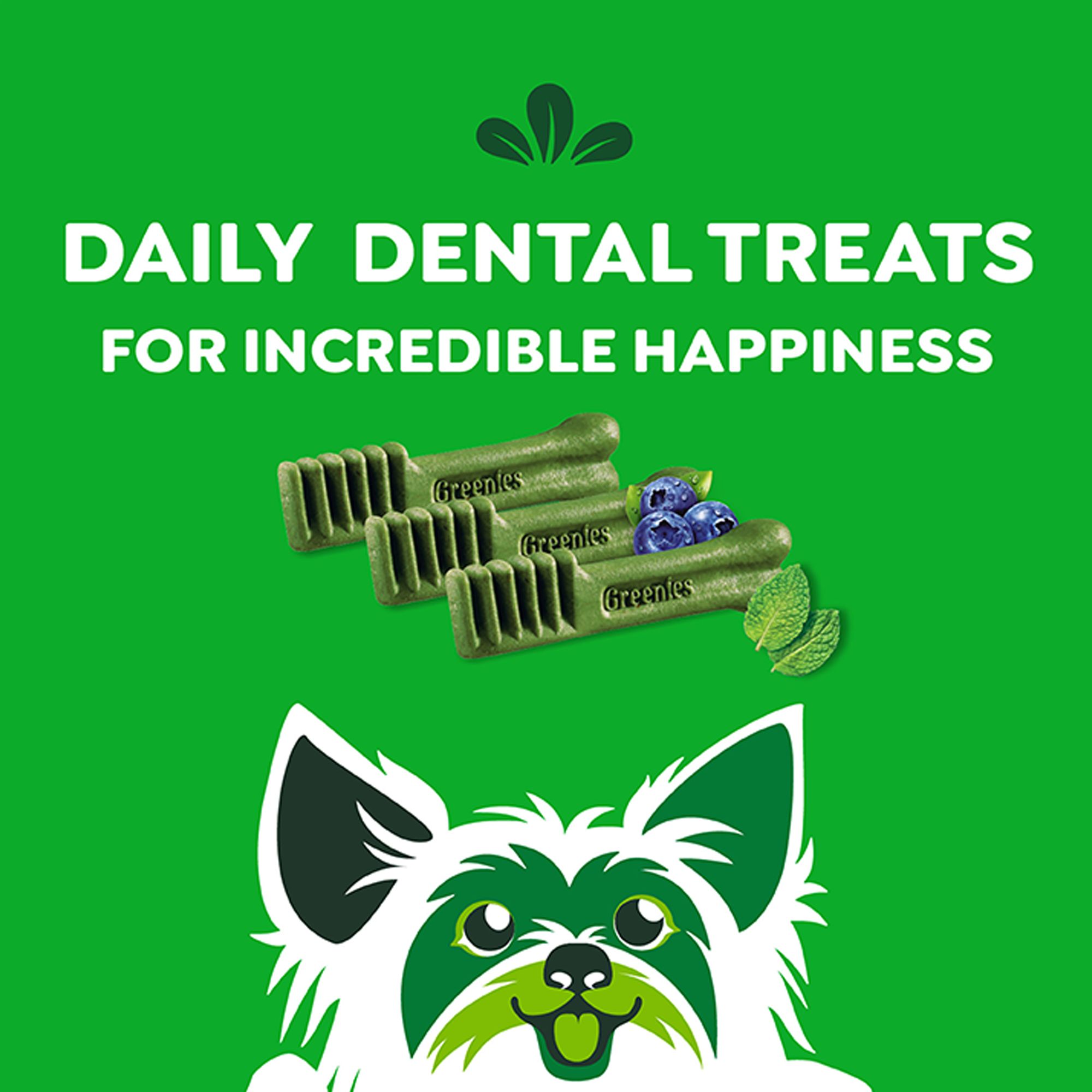 GREENIES Natural Teenie Dental Care Adult Dog Treats - 3 Flavor