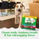 Product Greenies Regular Natural Adult Dog Dental Treats Variety Pack - Original, Minty & Blueberry