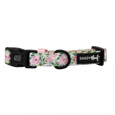 Product Sassy Woof Magnolia Dog Collar