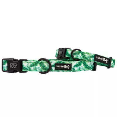 Product Sassy Woof Verano Dog Collar