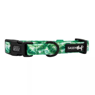 Product Sassy Woof Verano Dog Collar