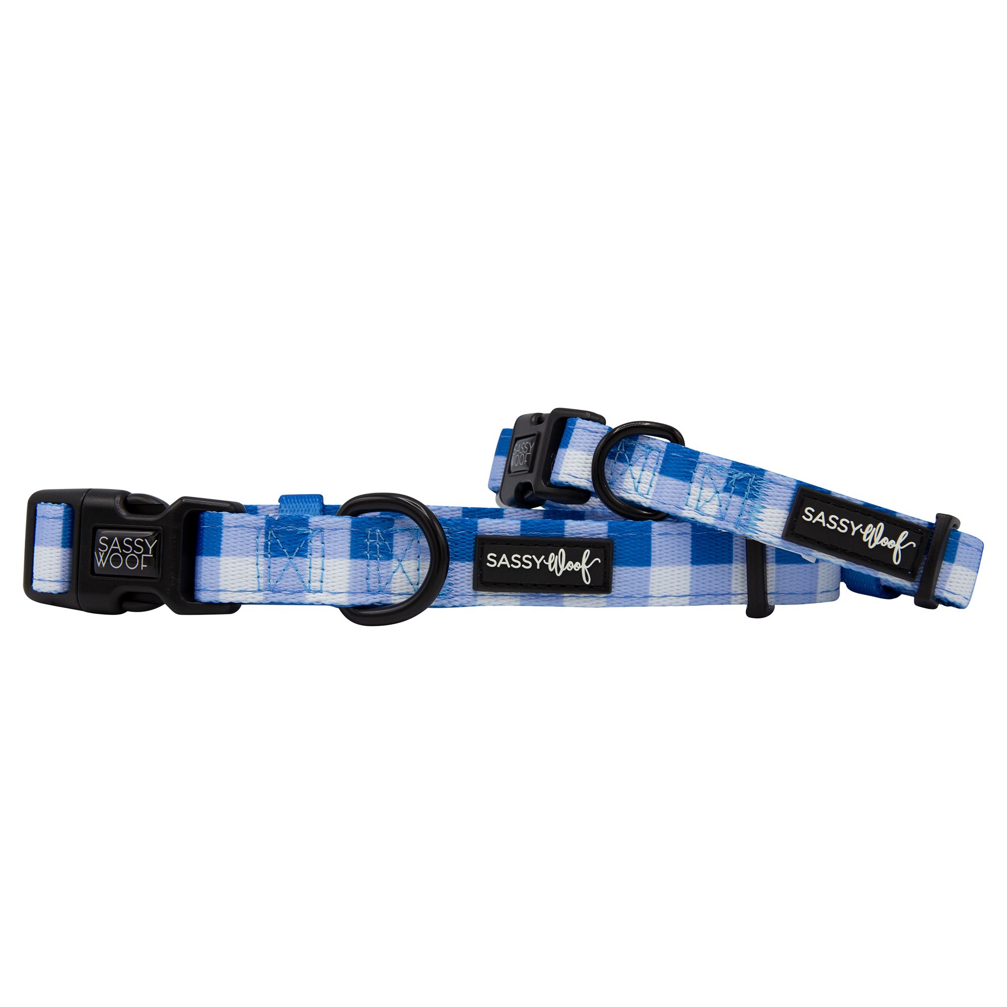 Newborn puppy outlet collars petsmart