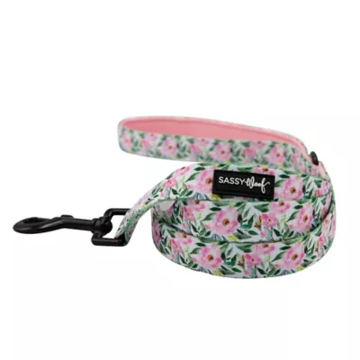 Product Sassy Woof Magnolia Dog Leash: 5-ft long