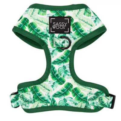 Product Sassy Woof Verano Dog Harness