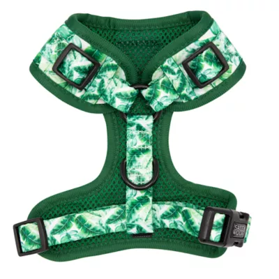 Product Sassy Woof Verano Dog Harness