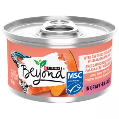 Product Purina® Beyond® Adult Wet Cat Food - Wild Alaskan Salmon & Sweet Potato Recipe