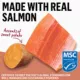 Product Beyond Adult Wet Cat Food In Gravy - Alaskan Salmon & Sweet Potato Recipe, 85 g