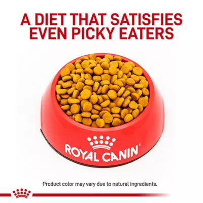 Product Royal Canin® Veterinary Diet Feline Gastrointestinal Moderate Calorie Adult Dry Cat Food