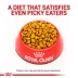 Royal Canin® Veterinary Diet Feline Gastrointestinal Moderate Calorie Adult Dry Cat Food image thumbnail 2