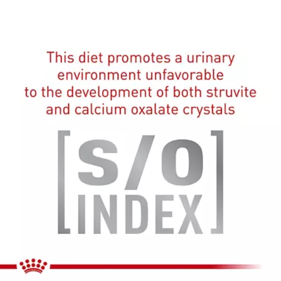 Product Royal Canin® Veterinary Diet Feline Gastrointestinal Moderate Calorie Adult Dry Cat Food
