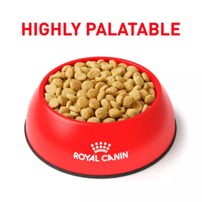 Royal Canin® Veterinary Diet Feline Satiety Support Adult Dry Cat Food - Image 3