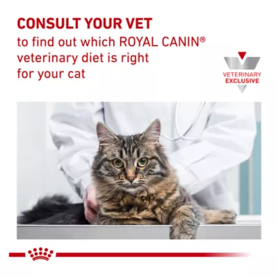 Royal Canin® Veterinary Diet Feline Satiety Support Adult Dry Cat Food - Image 9