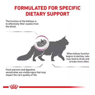Royal Canin® Veterinary Diet Feline Renal Support S Adult Dry Cat Food - Image 4