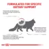 Royal Canin® Veterinary Diet Feline Renal Support S Adult Dry Cat Food image thumbnail 4