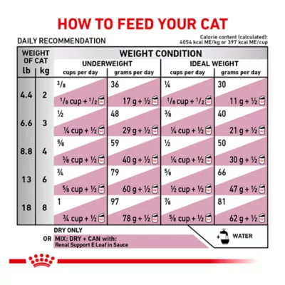 Royal Canin® Veterinary Diet Feline Renal Support S Adult Dry Cat Food - Image 7