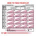 Royal Canin® Veterinary Diet Feline Renal Support S Adult Dry Cat Food image thumbnail 7