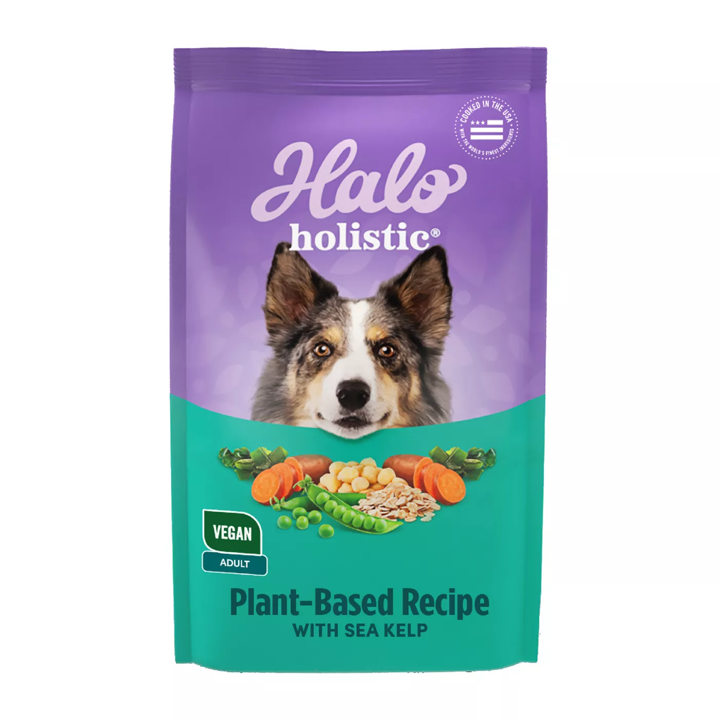 Holistic dry dog food best sale