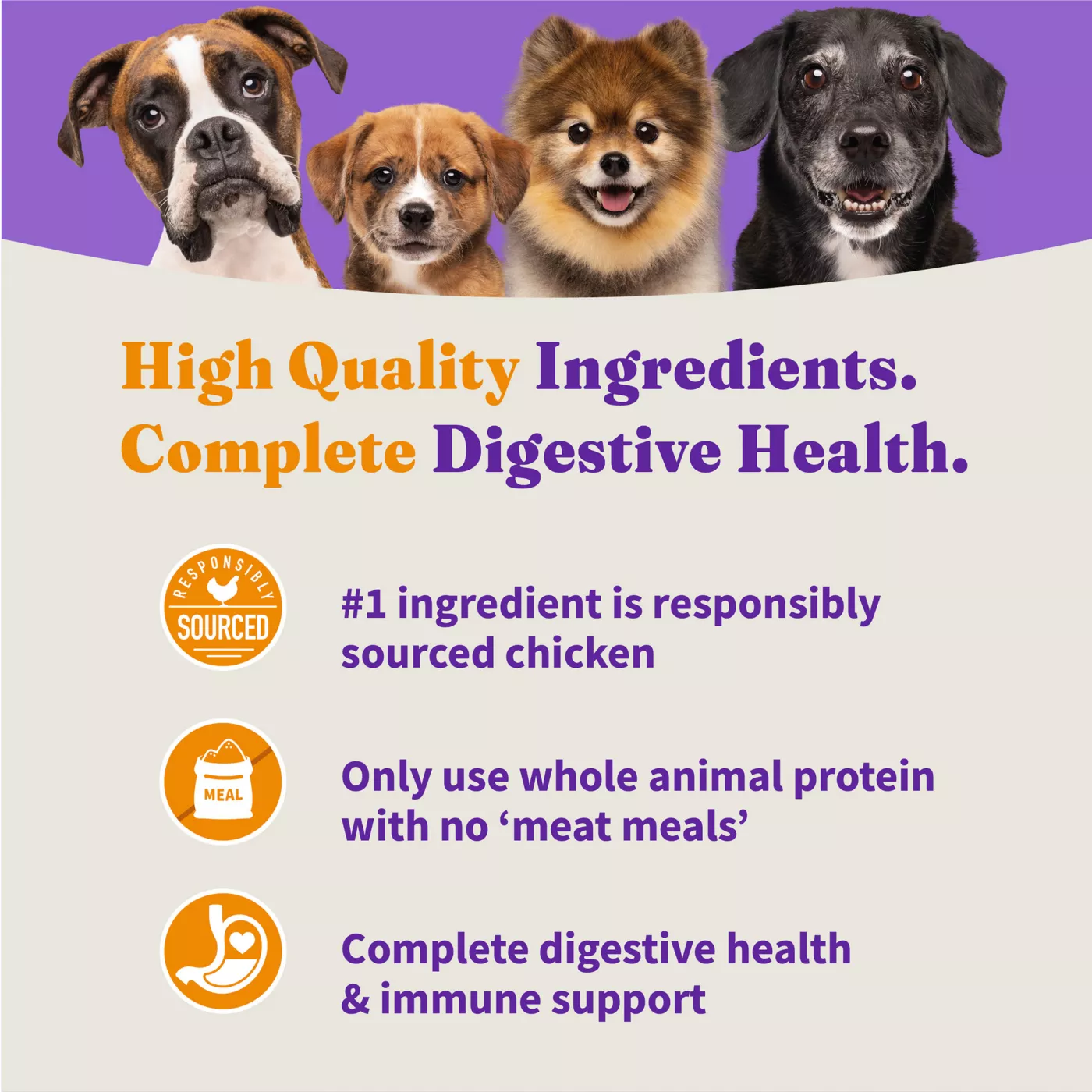 Halo Holistic Dry Dog Puppy Food Cage free Chicken Brown Rice Digestive Care