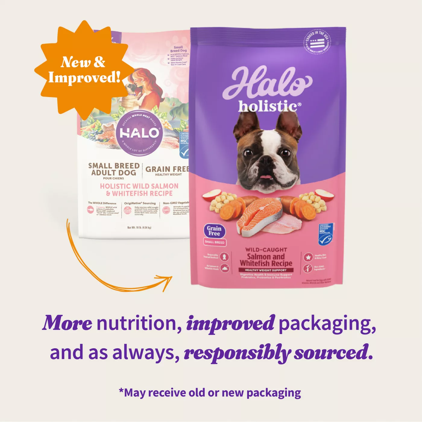 Halo Holistic Dry Dog Food Wild caught Salmon Whitefish Digestive Care