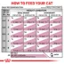 Royal Canin® Veterinary Diet Feline Early Consult Renal Support Adult Dry Cat Food image thumbnail 9