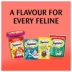 Temptations Meaty Bites Adult Cat Treats - Salmon Flavour image thumbnail 6