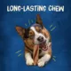 Product Purina Busy Bone with Beggin Twist'd Small Medium Adult Dog Chew Treats - Bacon