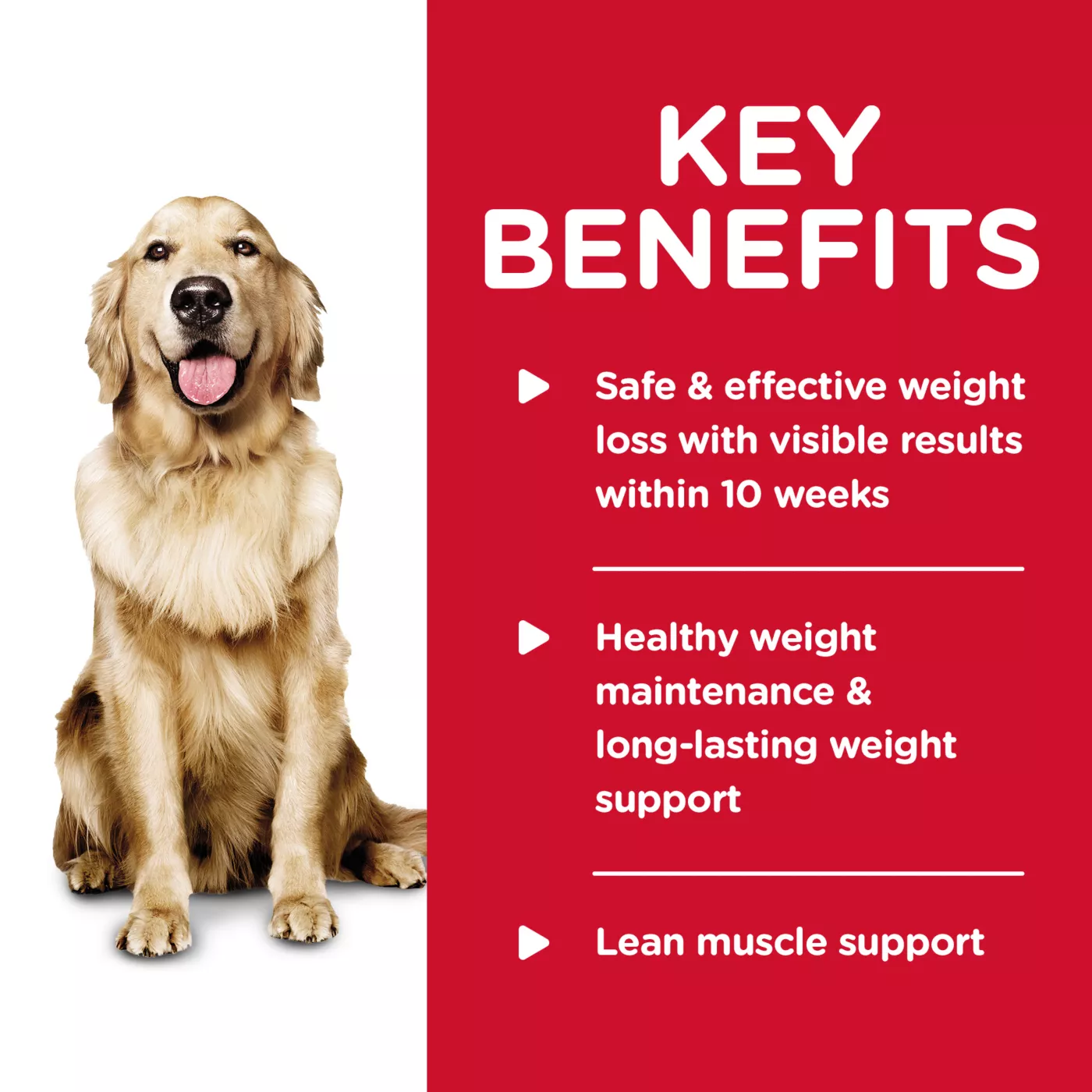 Hill's® Science Diet® Adult Perfect Weight Wet Dog Food Chicken