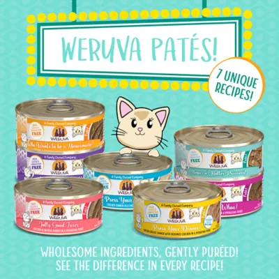 Weruva Pate! Wet Cat Food - Pate in Hydrating Puree, 5.5 OZ - Image 6